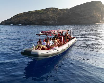 Maui Snorkeling: Molokini Crater & Turtle Town