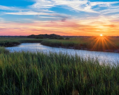 Private Sunset Dolphin Cruise in Hilton Head Island
