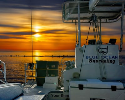 Waikiki Sunset Turtle Canyon Snorkeling Cruise