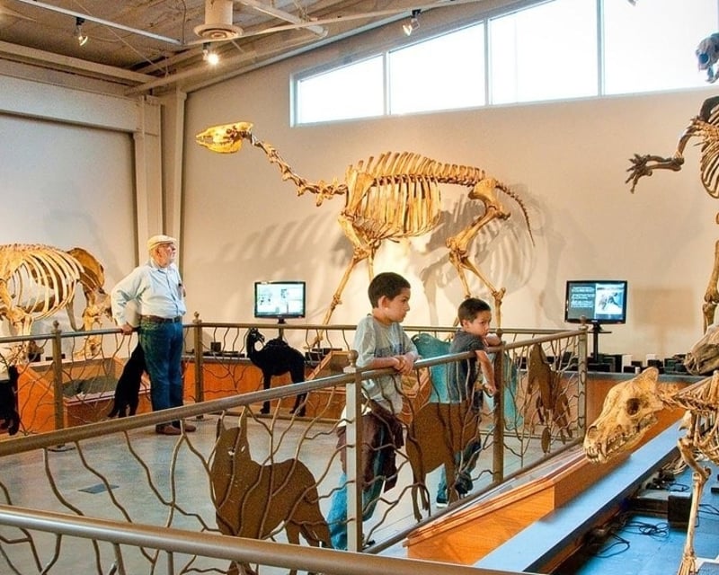 Private Group Ice Age & Mammoth Fossil Tour in Chowchilla