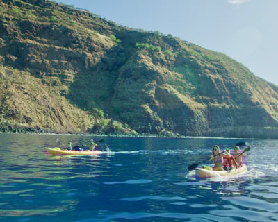 Morning Kealakekua Bay Kayak & Snorkel Tour