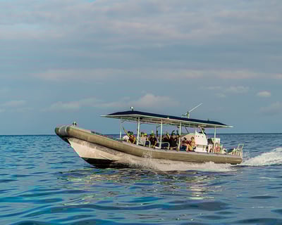 Kona Snorkeling Tour with In-Water Guides & Raft