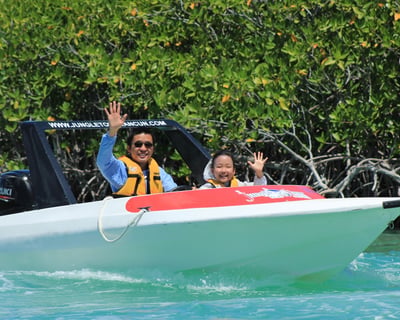 Cancun Mangrove Speedboat Tour