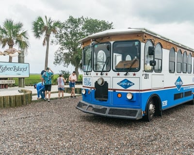 Explore Tybee Island From Savannah With Dolphin Cruise
