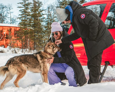 Helicopter Dog Mushing & Knik Glacier Tour From Palmer