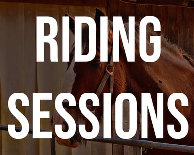 1-Hour Horseback Riding Session in Corinth
