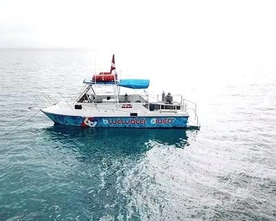 Key Largo Private Scuba Diving Charter