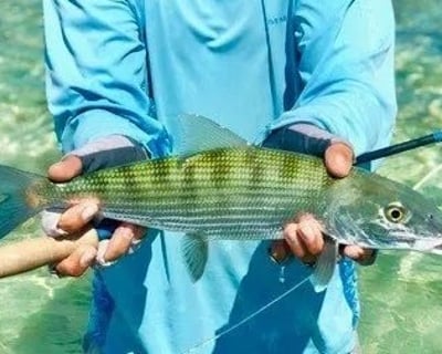 Florida Keys Eco Tour