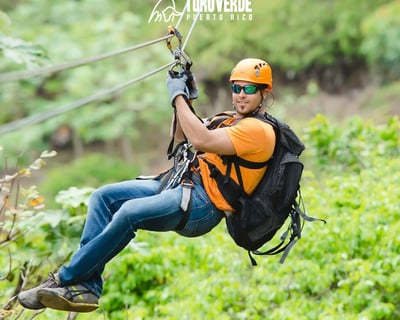 7-Zipline Tour at Toro Verde Adventure Park