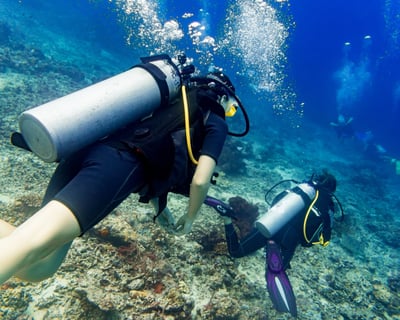 2-Tank Dive Trip From Bayside Marketplace in Miami