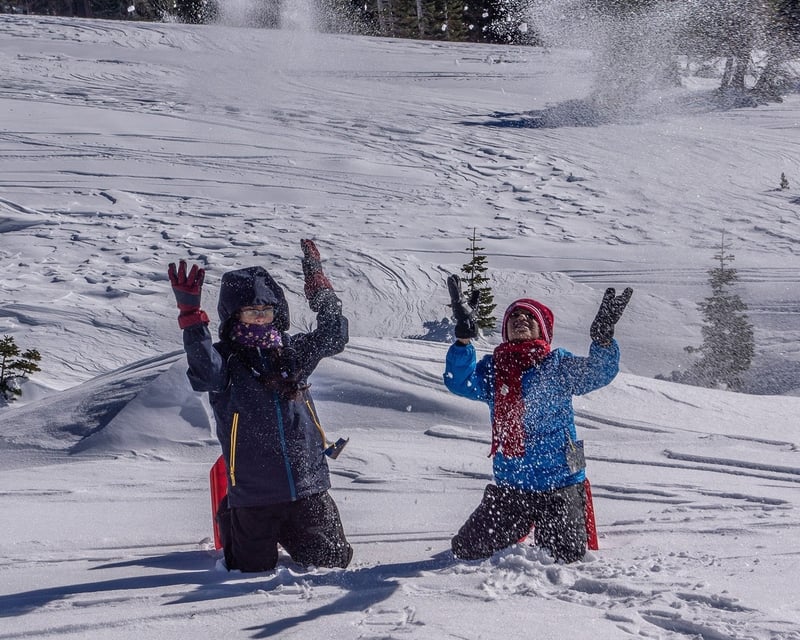 Guided Alpine Snowshoe Hike in Mount Shasta