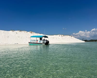 Pensacola Dolphin & Scenic Bay Sightseeing Tour