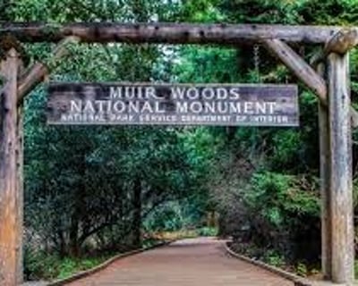 5-Hour Muir Woods Tour With Sausalito Stop