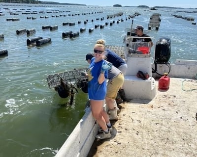 Mere Point Oyster Farm Tour