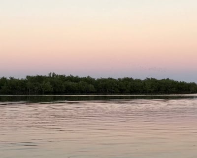 Evening Dolphin Cruise in New Smyrna Beach