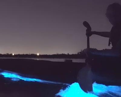 Port Gamble Bioluminescence Kayak Tour