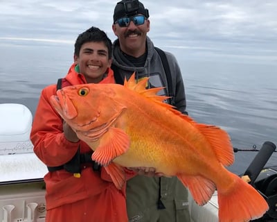 Kodiak Long-Range Trophy Fishing Charter