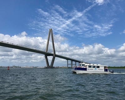 Charleston Harbor Dolphin Watching Cruise