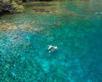 Afternoon Private Snorkel Charter in Kailua-Kona