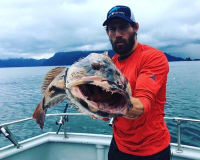 Fish Kachemak Bay on a Homer 8-10 Hour Charter