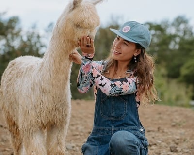 Makawao VIP Alpaca Picnic Tour