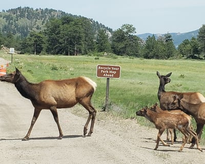 Rocky Mountain National Park 5-6 Hour Guided Hike
