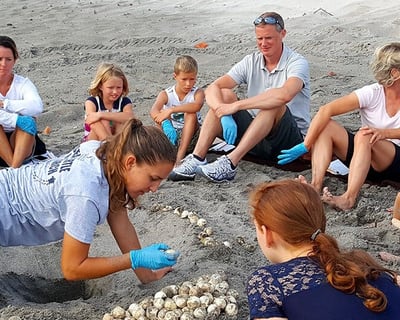 Sea Turtle Nest Excavation Tour in Juno Beach