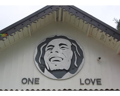 Bob Marley Mausoleum & Dunn's River Falls Tour
