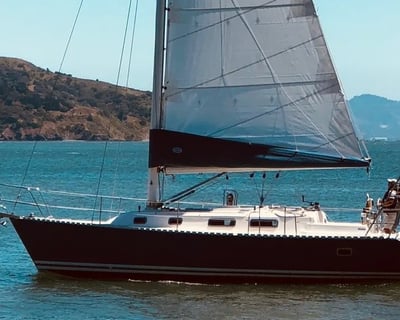 3- or 4-Hour San Francisco Bay Sailing Cruise