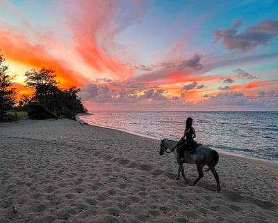 Oceanfront Polo Pony Sunset Ride in Waialua