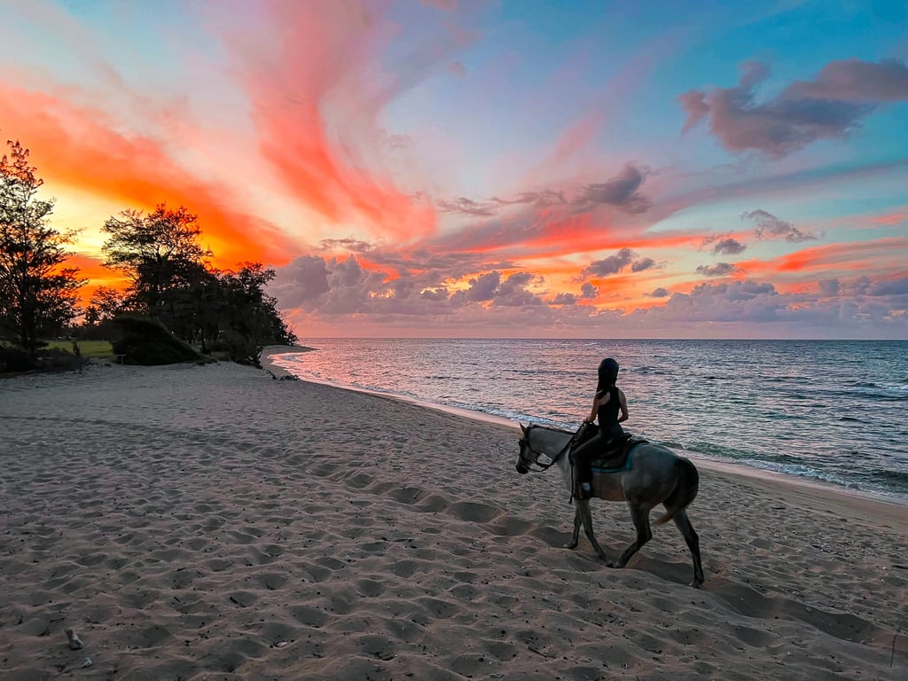 Sunset Horseback Ride Along North Shore Oceanfront