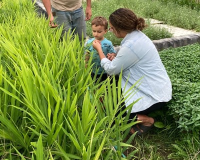 Hudsonville Sustainable Farm Tour & Tasting