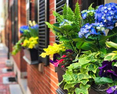 Beacon Hill Photo Tour