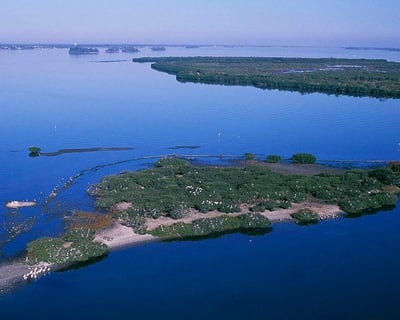 Sunset Ecology Cruise to Pelican Island