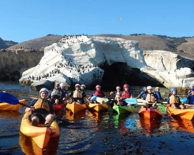 Paddle a 2-Hour Shell Beach Sea Caves Kayak Tour