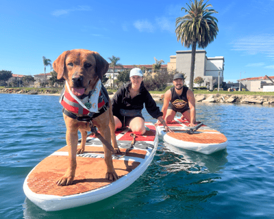 San Diego Paddleboarding Lesson With a Dog