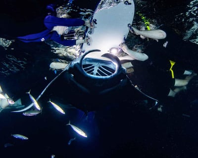 Snorkel With Manta Rays at Night in Kona