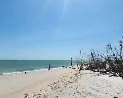 Cape Coral 6-Hour Island Tour