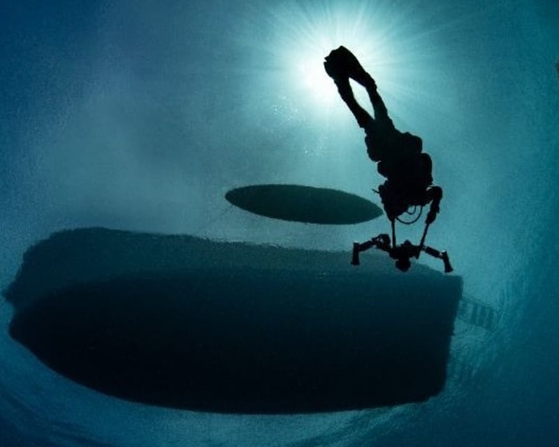PADI Boat Diver Specialty Course in Avalon, Catalina Island