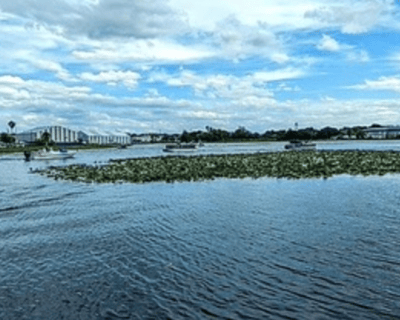 2-Hour Pontoon Cruise on Winter Haven Chain of Lakes