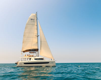 Full-Day Catamaran Charter From Marina Del Rey