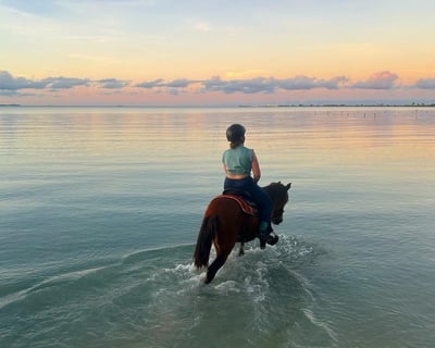 Sunset Horseback Riding Tour in Vieques