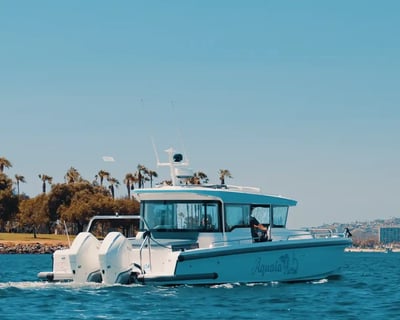 Cruise San Diego Bay on a 4-Hour Private Charter