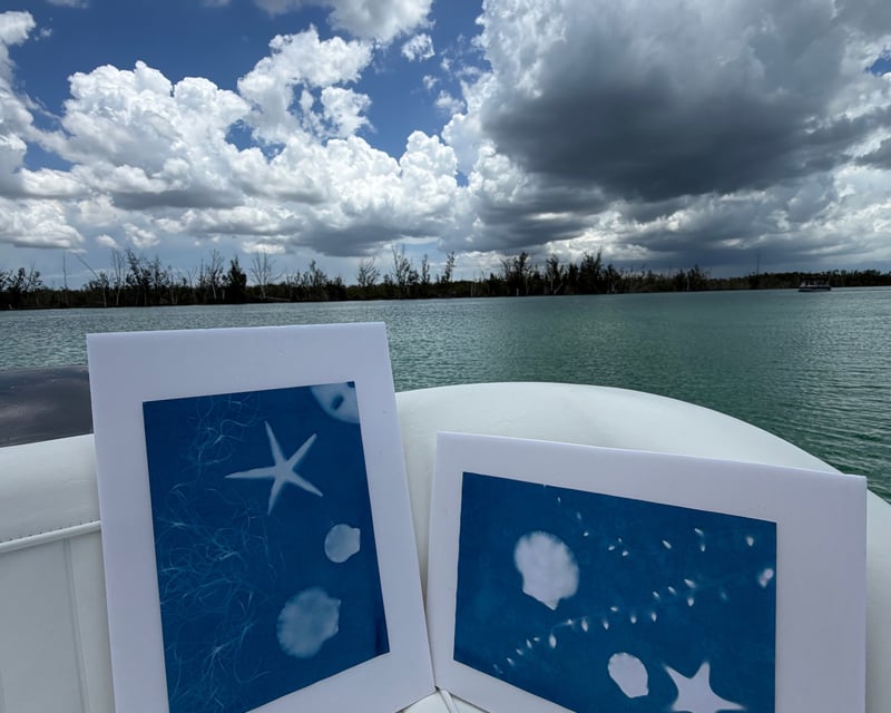 Shelling & Cyanotype Sun Print Boat Tour in Naples