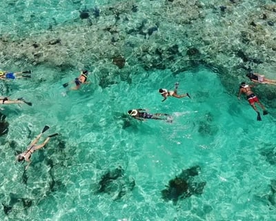 Sunset Snorkel Cruise in Key West