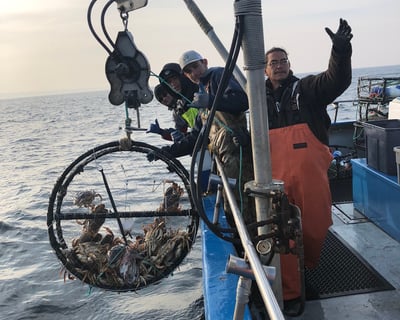 Fort Bragg Crab & Rockfish Fishing Charter
