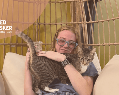 Private Cat Lounge Visit in Duluth