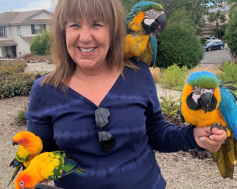 Parrot Encounter in Bonsall