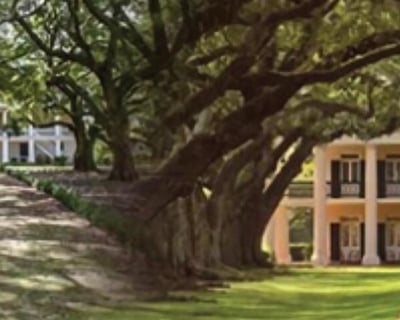 Oak Alley and Whitney Plantations Combo Tour