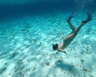 3-Reef Snorkeling Tour in Cozumel